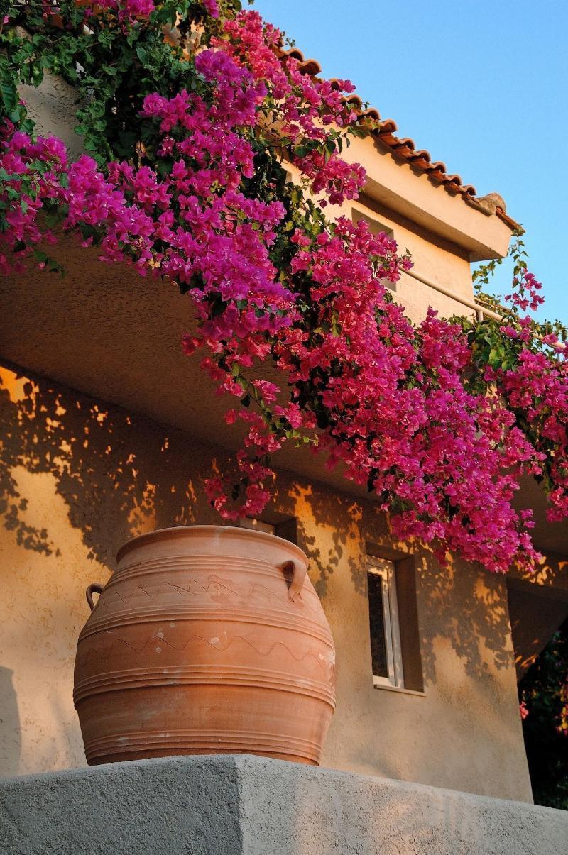 Paradise Island Villas Hersonissos  Ngoại thất bức ảnh